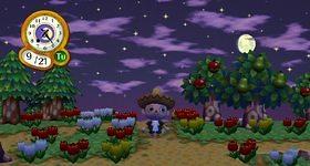 Animal Crossing: City Folk