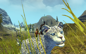 Gw2 2012-11-19 15-16-44-46
