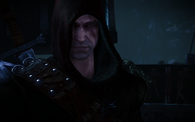witcher2 2011-08-12 14-53-47-99